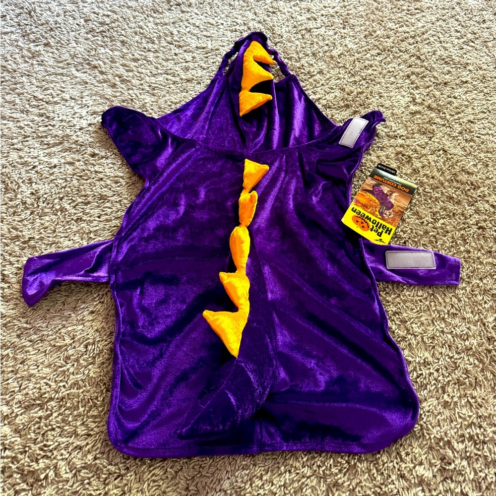 Dragon dog costume
